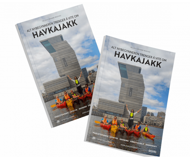 Hovedbilde Havkajakk - Bok av Laila Johanne Reigstad